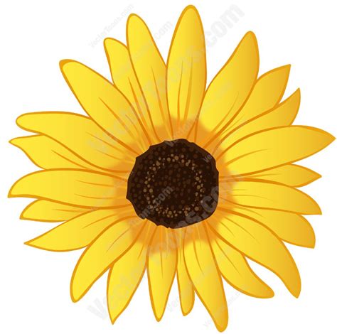 sunflower vector art